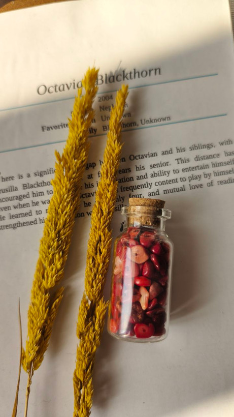 شیشه سنگ مرجان چیپسی سوزاخ دار اصل طبیعی