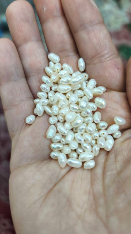 مروارید پرورشی گندمی سوراخ دار ۶در۴میل اصل