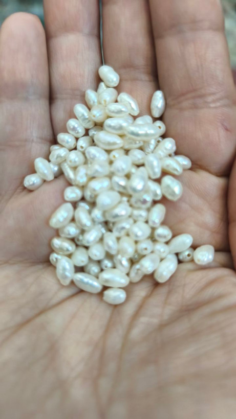 مروارید پرورشی گندمی سوراخ دار ۶در۴میل اصل