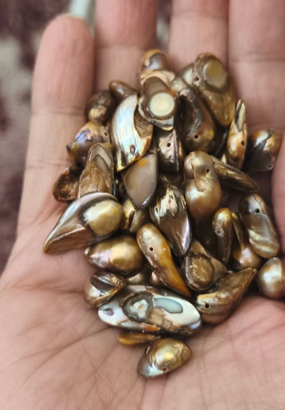 مروارید پرورشی آبالون رنگ رزگلد اصل سوراخ دار