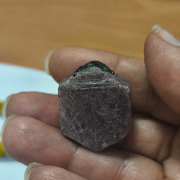 سنگ یاقوت افغان تراش نخورده ۱۹.۸۵گرم اصل طبیعی کلکسبونی معدنی راف