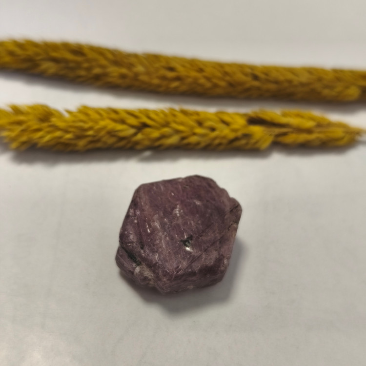 سنگ یاقوت سرخ افغان تراش نخورده ۹.۷۹گرم راف اصل طبیعی معدنی
