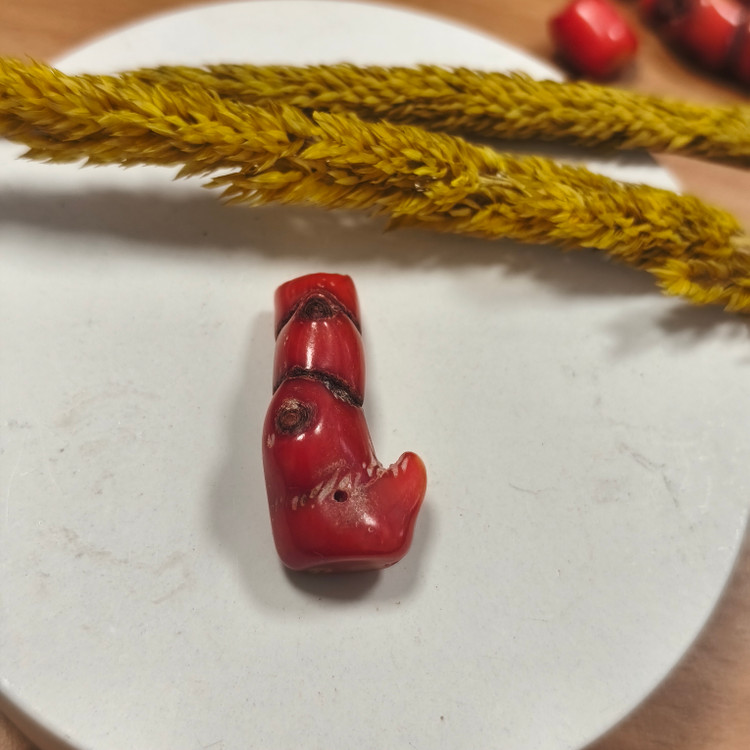 مرجان قرمز کوچک طبیعی۵.۸۷گرم سوراخ دار دریایی مرجان سرخ