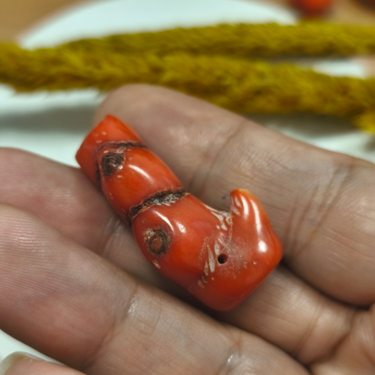 مرجان قرمز کوچک طبیعی۵.۸۷گرم سوراخ دار دریایی مرجان سرخ
