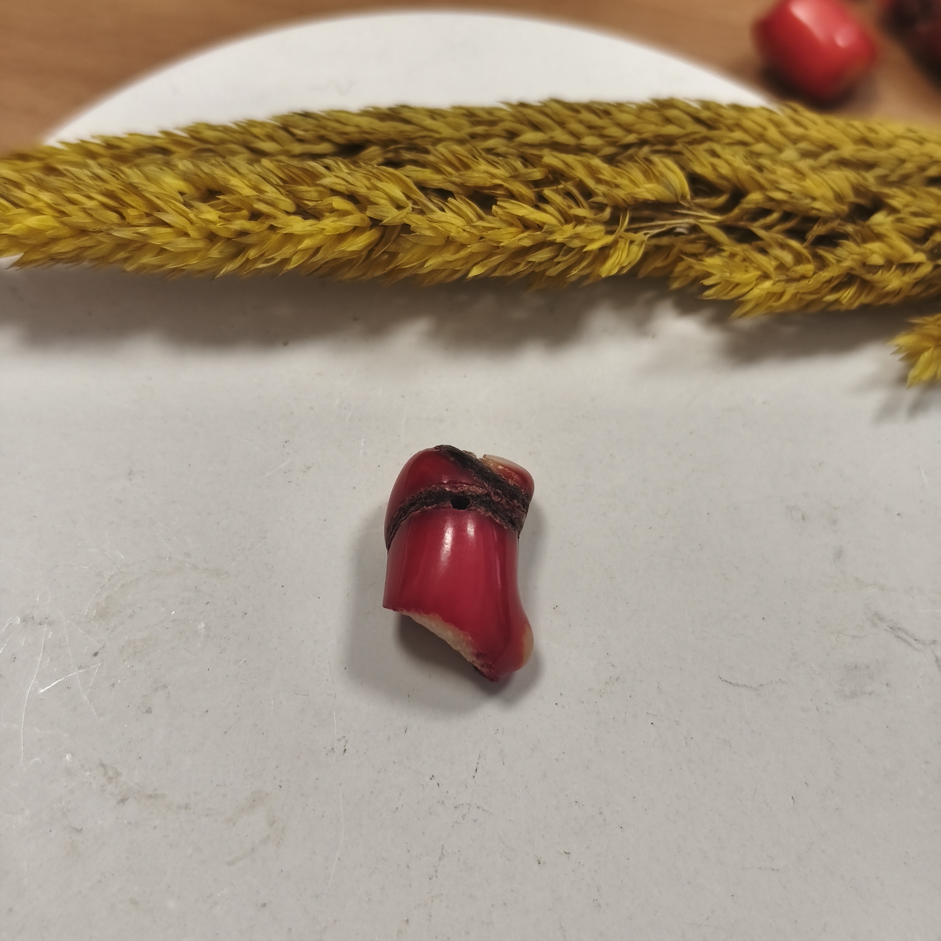 مرجان قرمز بزرگ طبیعی۲.۳۰گرم سوراخ دار دریایی مرجان سرخ