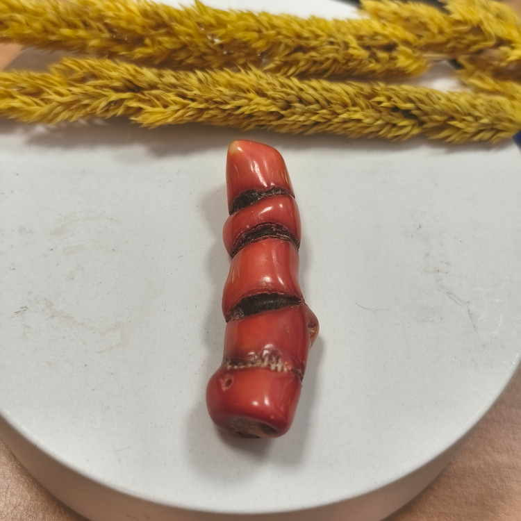 مرجان قرمز بزرگ طبیعی۸.۹۶سوراخ دار دریایی مرجان سرخ