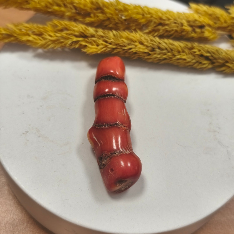 مرجان قرمز بزرگ طبیعی۸.۹۶سوراخ دار دریایی مرجان سرخ