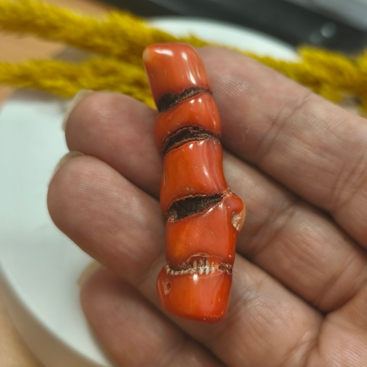 مرجان قرمز بزرگ طبیعی۸.۹۶سوراخ دار دریایی مرجان سرخ