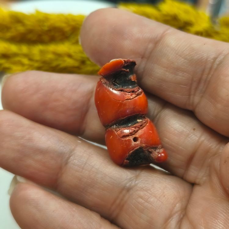 مرجان قرمز بزرگ طبیعی۳.۴۲سوراخ دار دریایی مرجان سرخ
